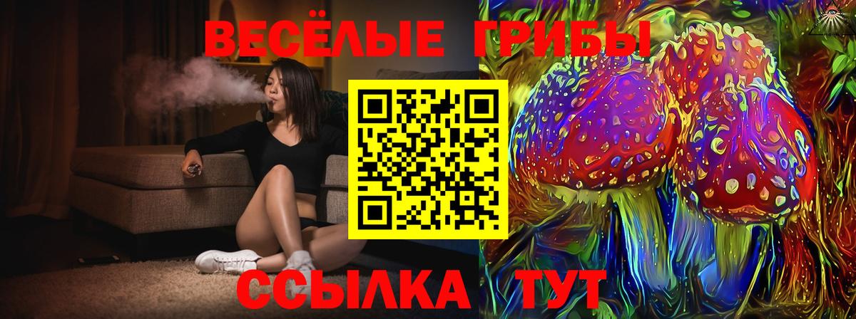 Псилоцибиновые грибы Psilocybe  Псилоцибиновые грибы GOLDEN TEACHER  Вход с VPN  Шумерля 